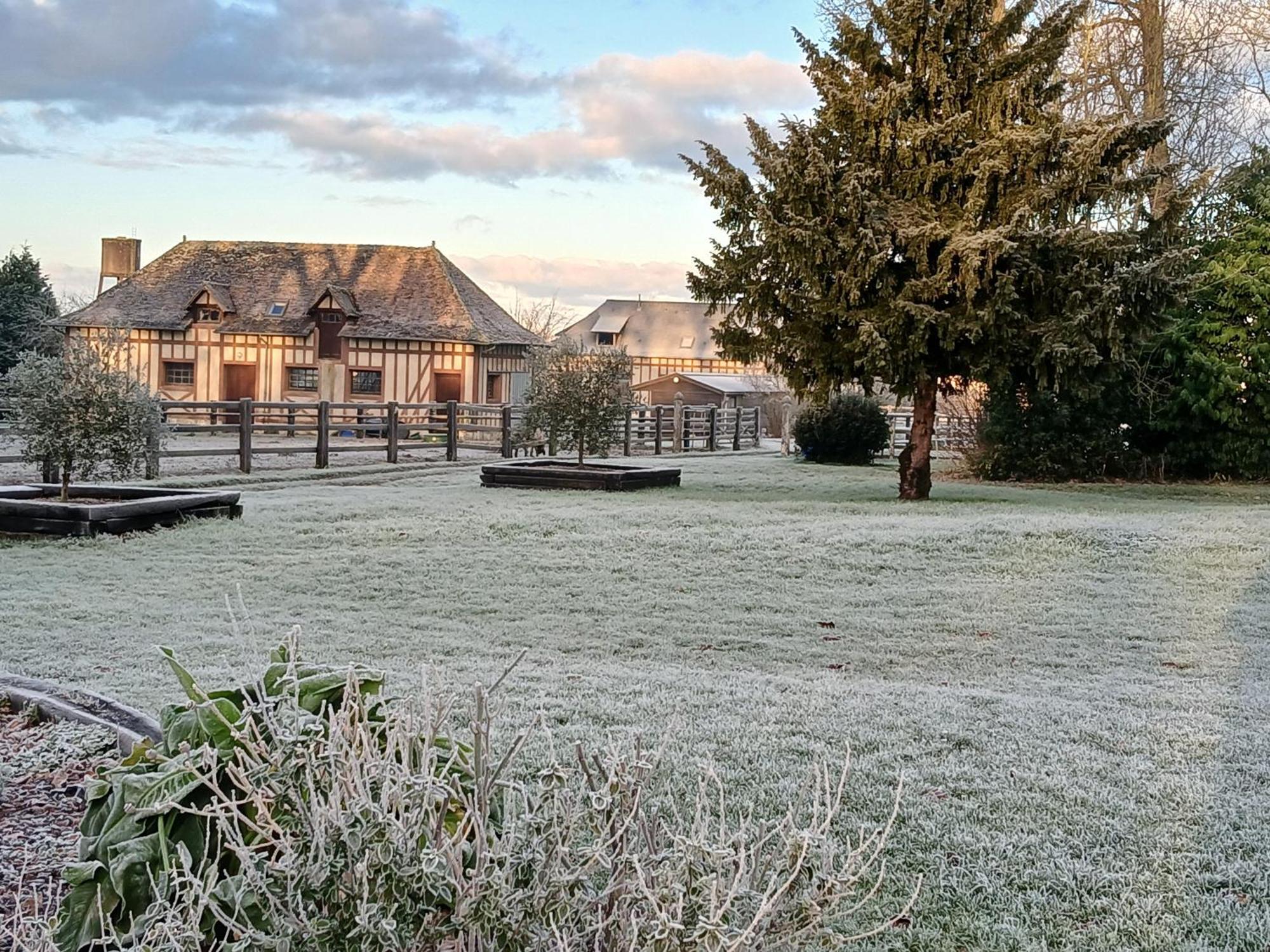 Domaine Des Ifs Bed & Breakfast Le Pin  ภายนอก รูปภาพ
