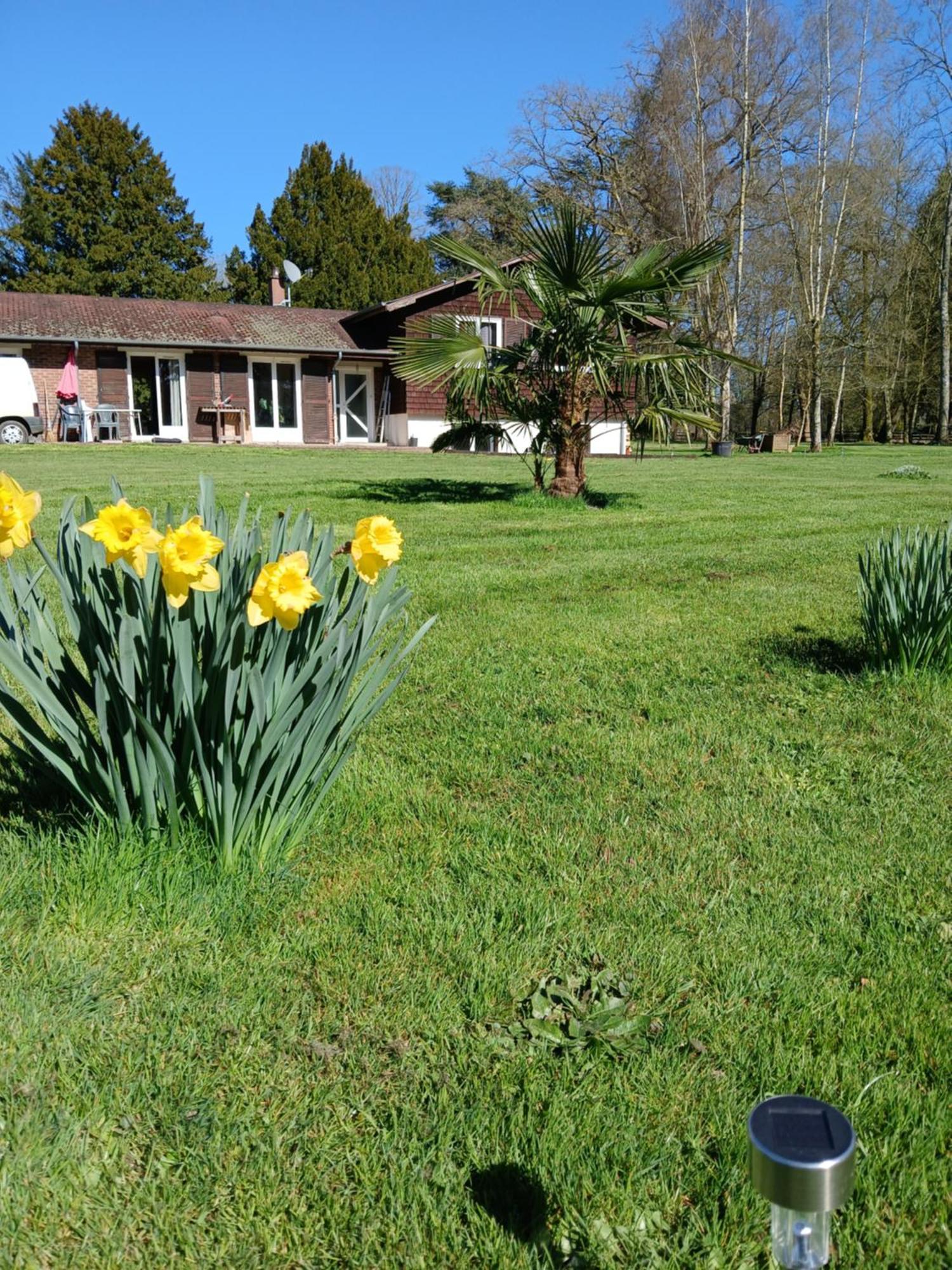 Domaine Des Ifs Bed & Breakfast Le Pin  ภายนอก รูปภาพ