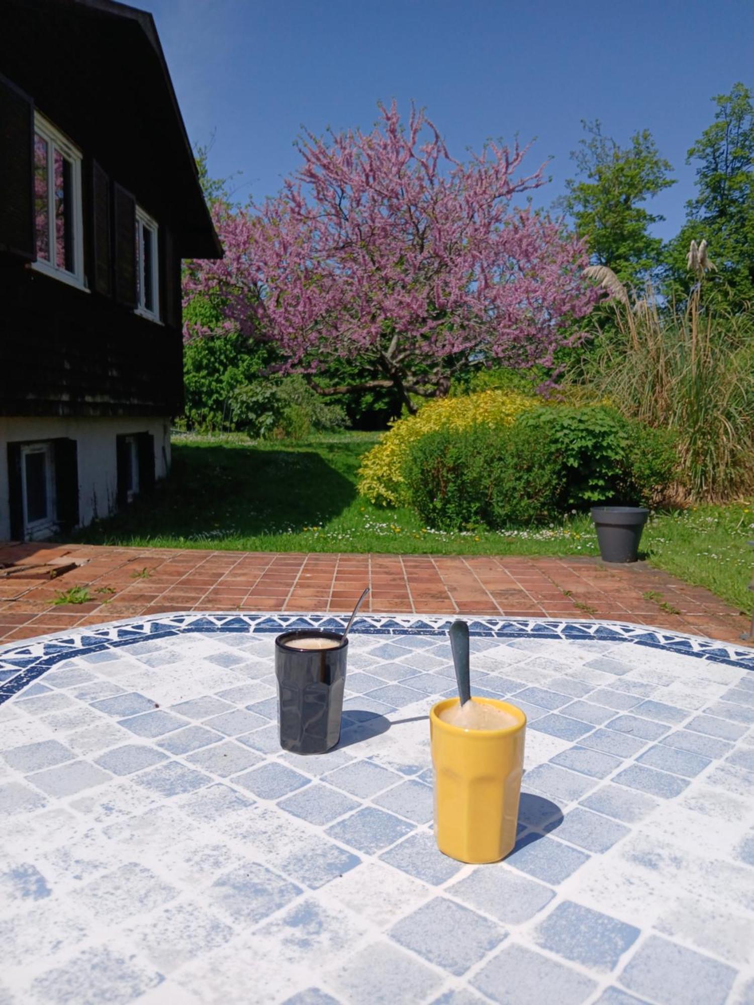 Domaine Des Ifs Bed & Breakfast Le Pin  ภายนอก รูปภาพ